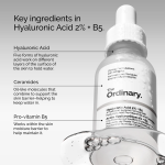 The-Ordinary-Hyaluronic-Aci_grande_99714a96-6e98-47f5-ac22-58be37ff33ab.jpg